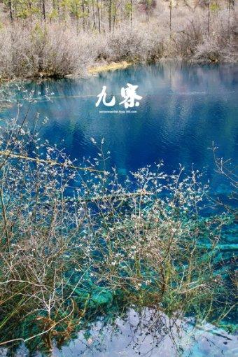 用手机传送文档为什么显示不出文档的格式来只打了个问号？