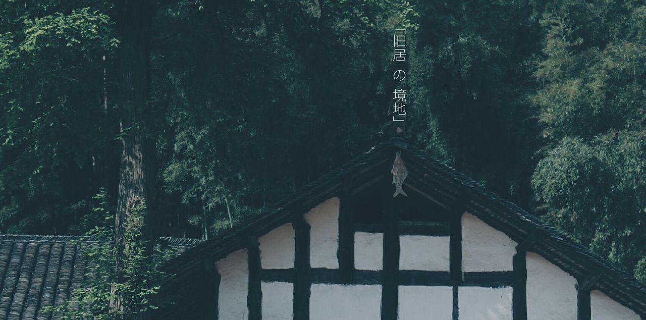 燃烧吧大脑免广告最新版